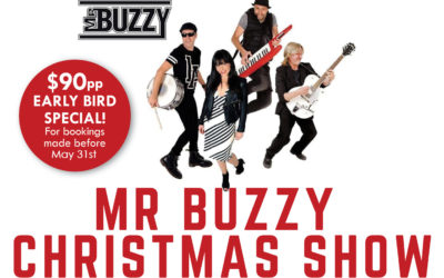 Mr Buzzy Christmas Show 2020