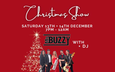 CHRISTMAS SHOW WITH MR BUZZY – 13th & 14th December 2024