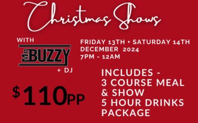 CHRISTMAS SHOW WITH MR BUZZY – 13th & 14th December 2024